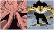 Seimei Kikan in the One Piece anime (Image via Toei Animation)